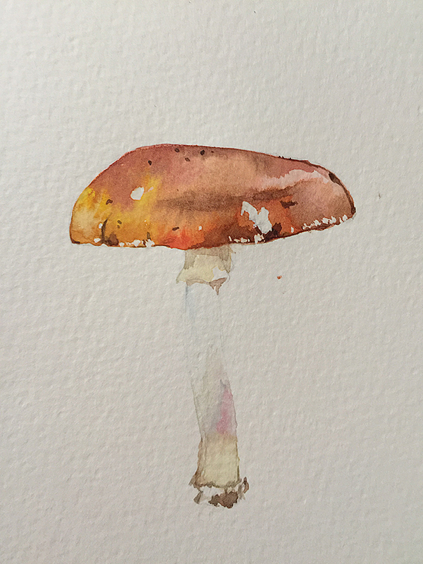 水彩画打卡（图ZOTA0NjMxODA=） - 创作习作 - 站酷设计师vickey904原创素材 - 站酷ZCOOL