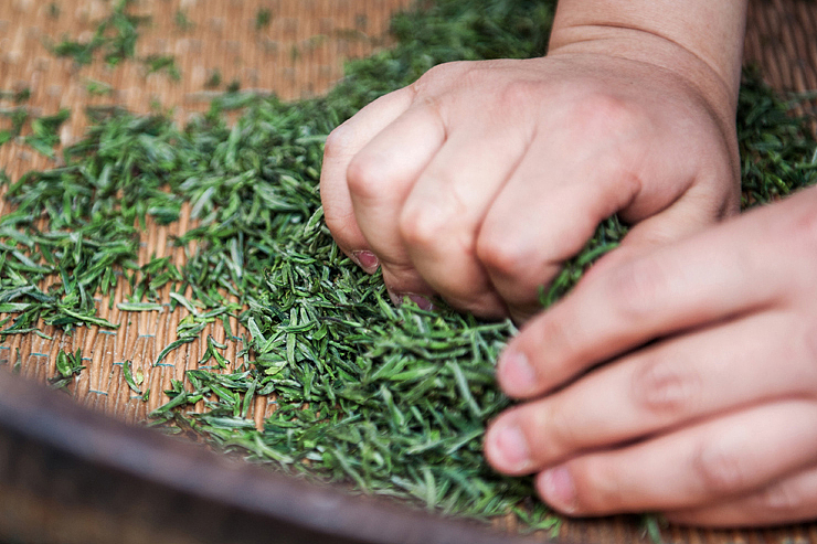 春茶包装设计：九亩茶舍青饮&雾毫（图ZNDg3MzAwODA=） - 包装 - 站酷设计师canaanvision原创素材 - 站酷ZCOOL