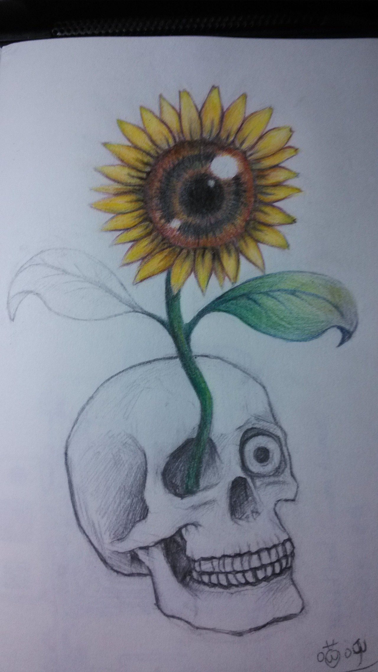 向日葵骷髅上色版