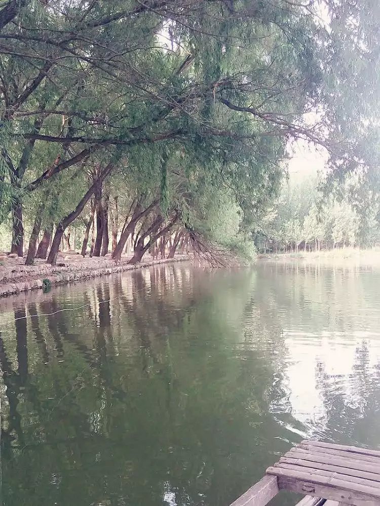 手机相册_风景（图ZMTAwMDEzNTAw） - 人文/纪实摄影 - 站酷设计师跑步向前原创素材 - 站酷ZCOOL