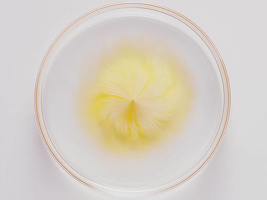 Abby's choice  完子心选 面膜家族