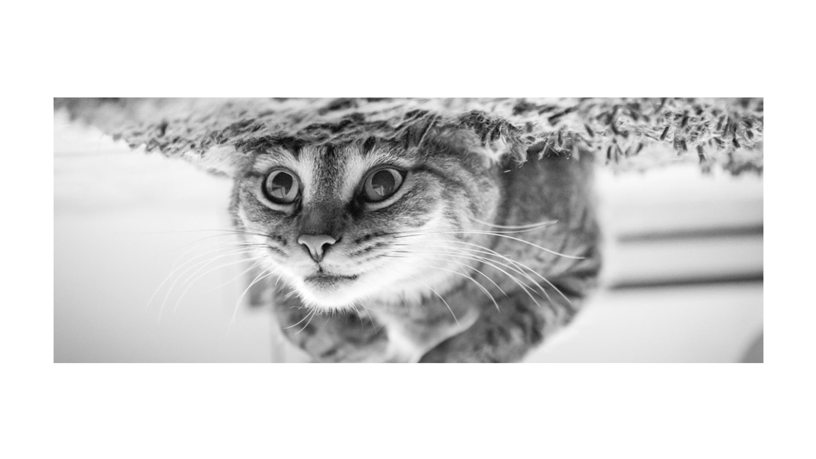 MaverickH的个人主页（封面预览） - 主页封面设置 - 站酷设计师MaverickH原创素材 - 站酷ZCOOL