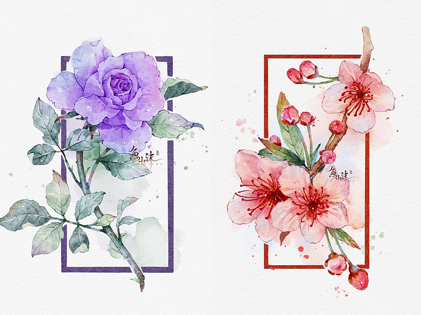 近期原创植物合集~