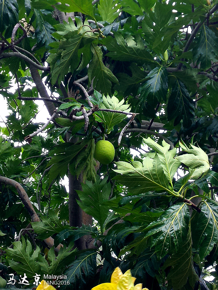 马达京度假村（图ZNjI1MTkzNjA=） - 风光摄影 - 站酷设计师marinetzk原创素材 - 站酷ZCOOL