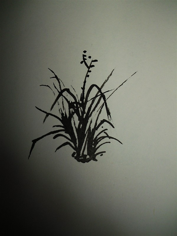 高中時(shí)候的速寫（圖ZMTA3NTIwMTEy） - 繪畫 - 站酷設(shè)計(jì)師糖小呆原創(chuàng)素材 - 站酷ZCOOL