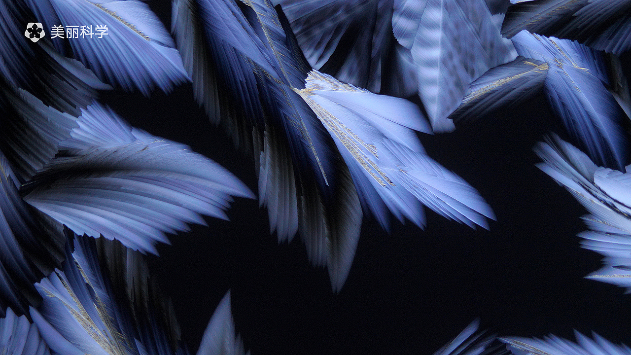 重现化学丨《凌》&《原》（图ZMjI5NjY3NDEy） - 其他摄影 - 站酷设计师美丽科学原创素材 - 站酷ZCOOL