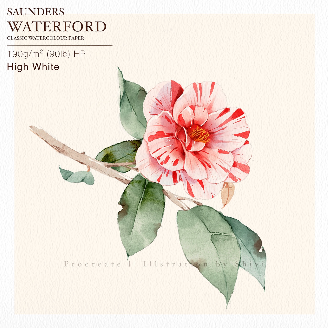 iPad绘画 | procreate水彩 花卉合集2（图ZMjUwOTA4NzA0） - 商业插画 - 站酷设计师十一水彩原创素材 - 站酷ZCOOL