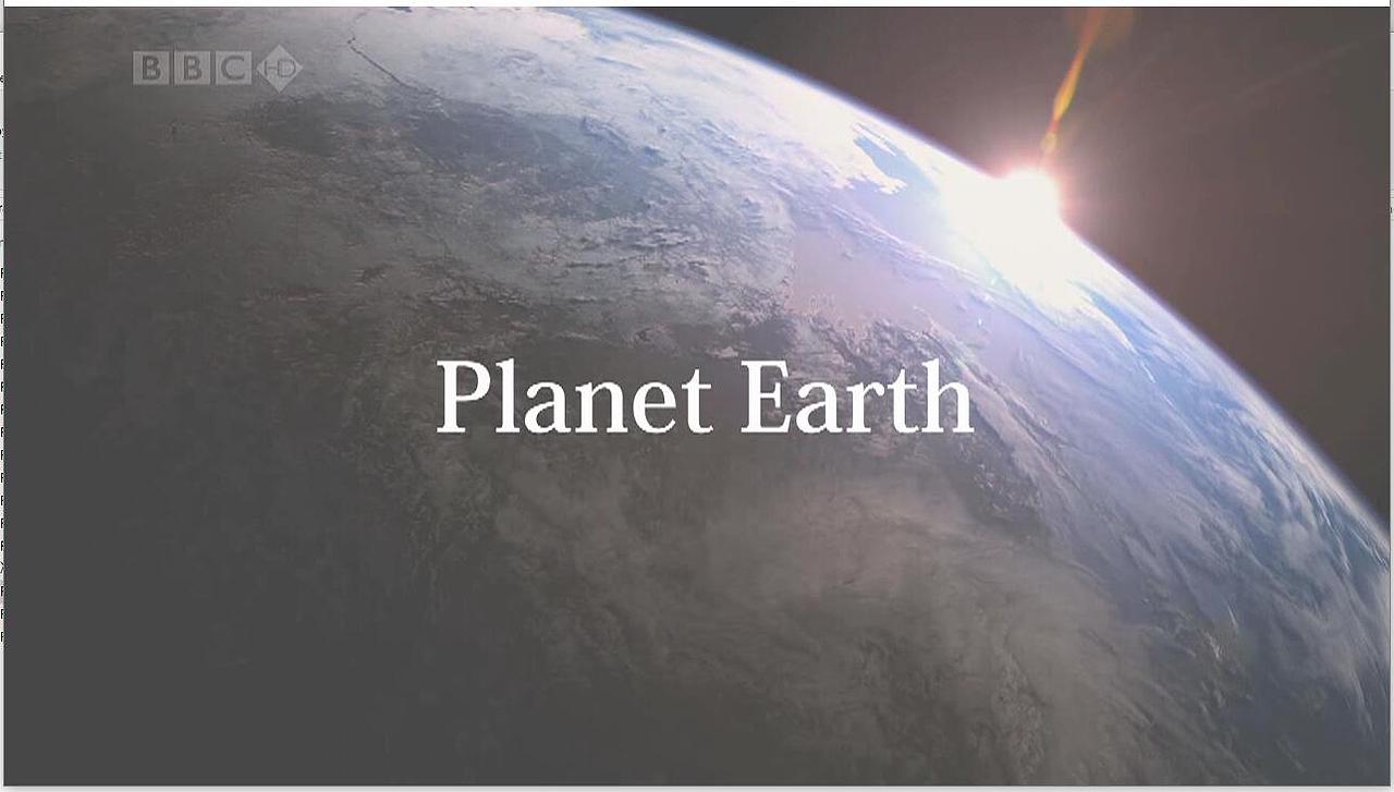 BBC HD Planet Earth（图ZNTcyNjg1NTI=） - 其他影视 - 站酷设计师fengjingranplay原创素材 - 站酷ZCOOL