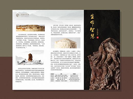 三折页（个人主页-ZNTE4NjM1MDg=） - 宣传物料 - 站酷设计师你家的猫原创素材 - 站酷ZCOOL