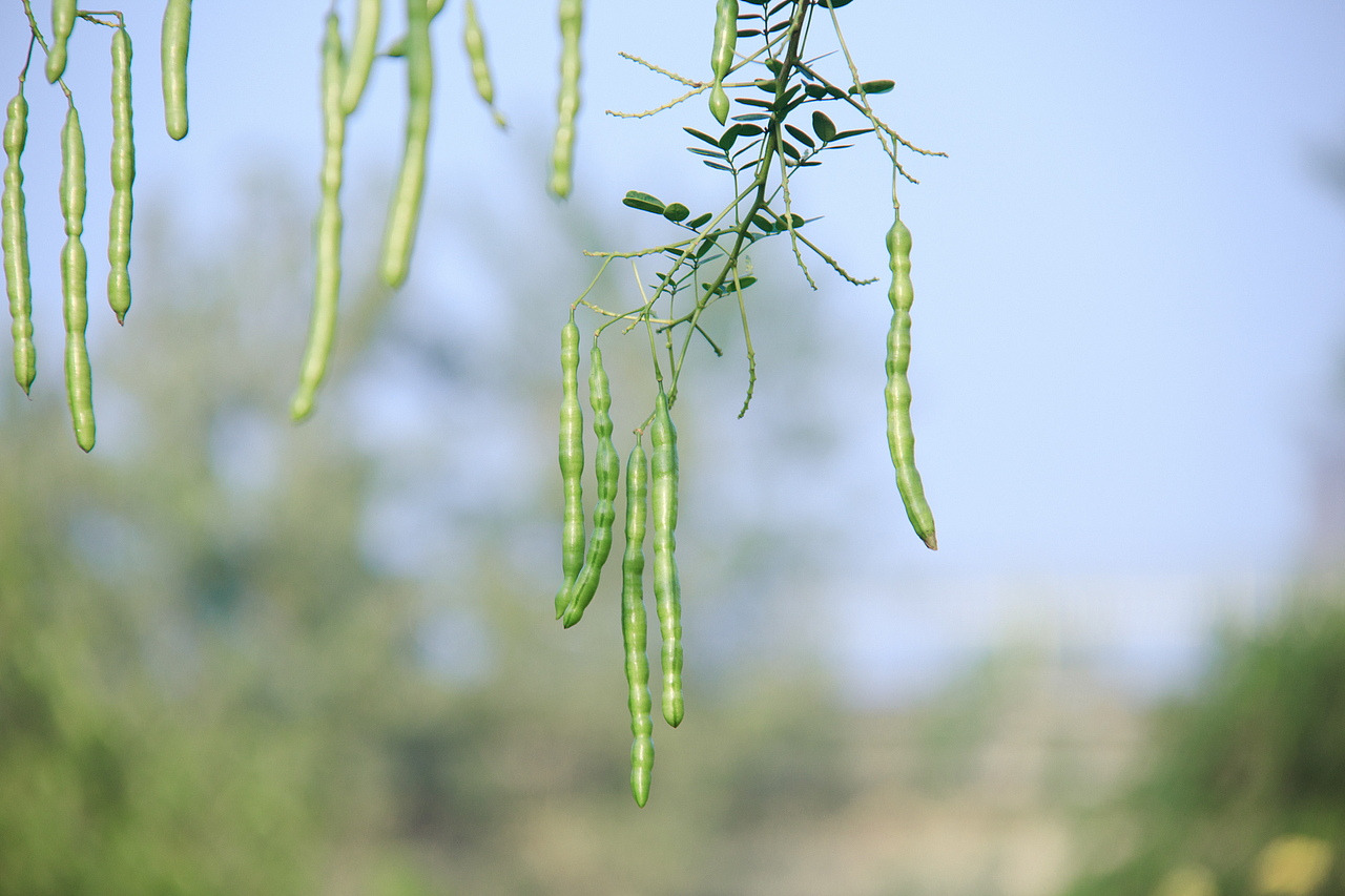蜀人原乡广场（图ZMjg1NjkwNTA0） - 风光摄影 - 站酷设计师资阳吃货鱼藏剑原创素材 - 站酷ZCOOL