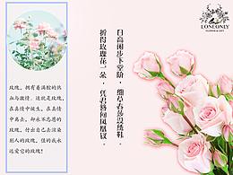 宣传单