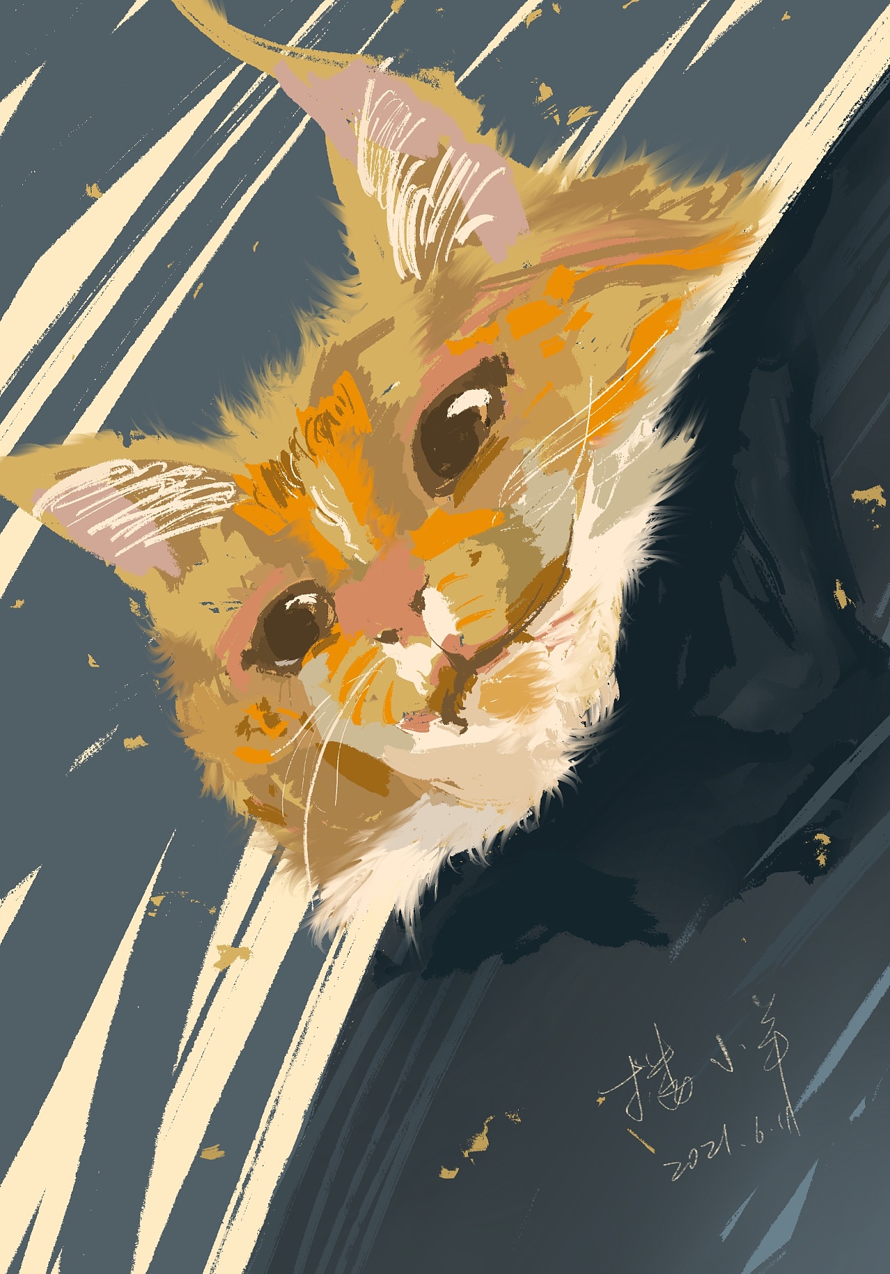 procreate猫咪眼中有星河