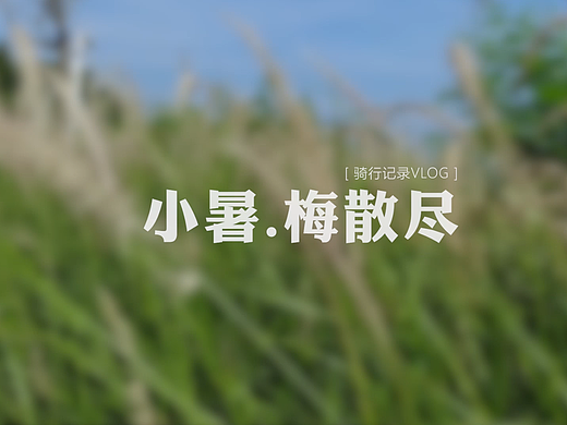 三伏天 去海边 做夏天该做的事情