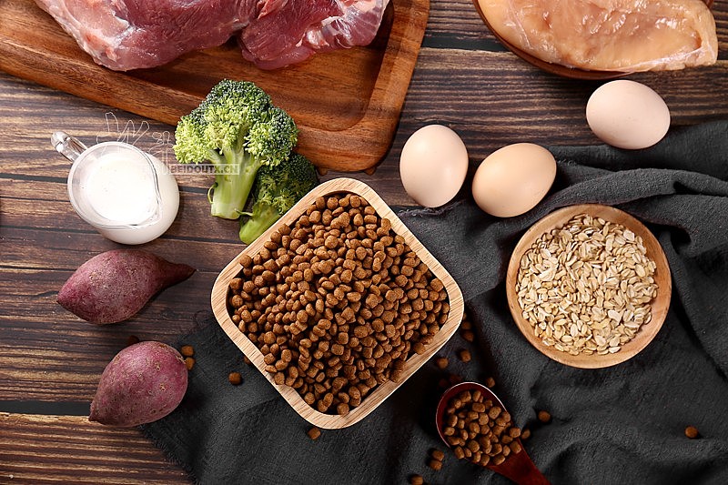 北斗狗粮拍摄宠物用品拍摄宠物零食视频拍摄