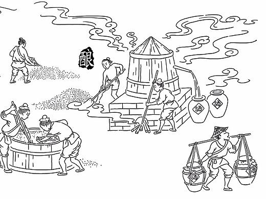 白酒包装插画