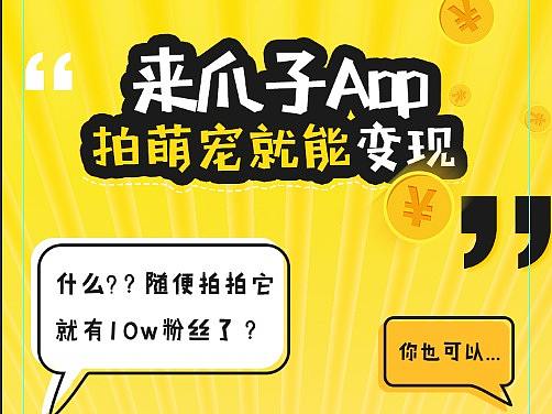 爪子APP海报