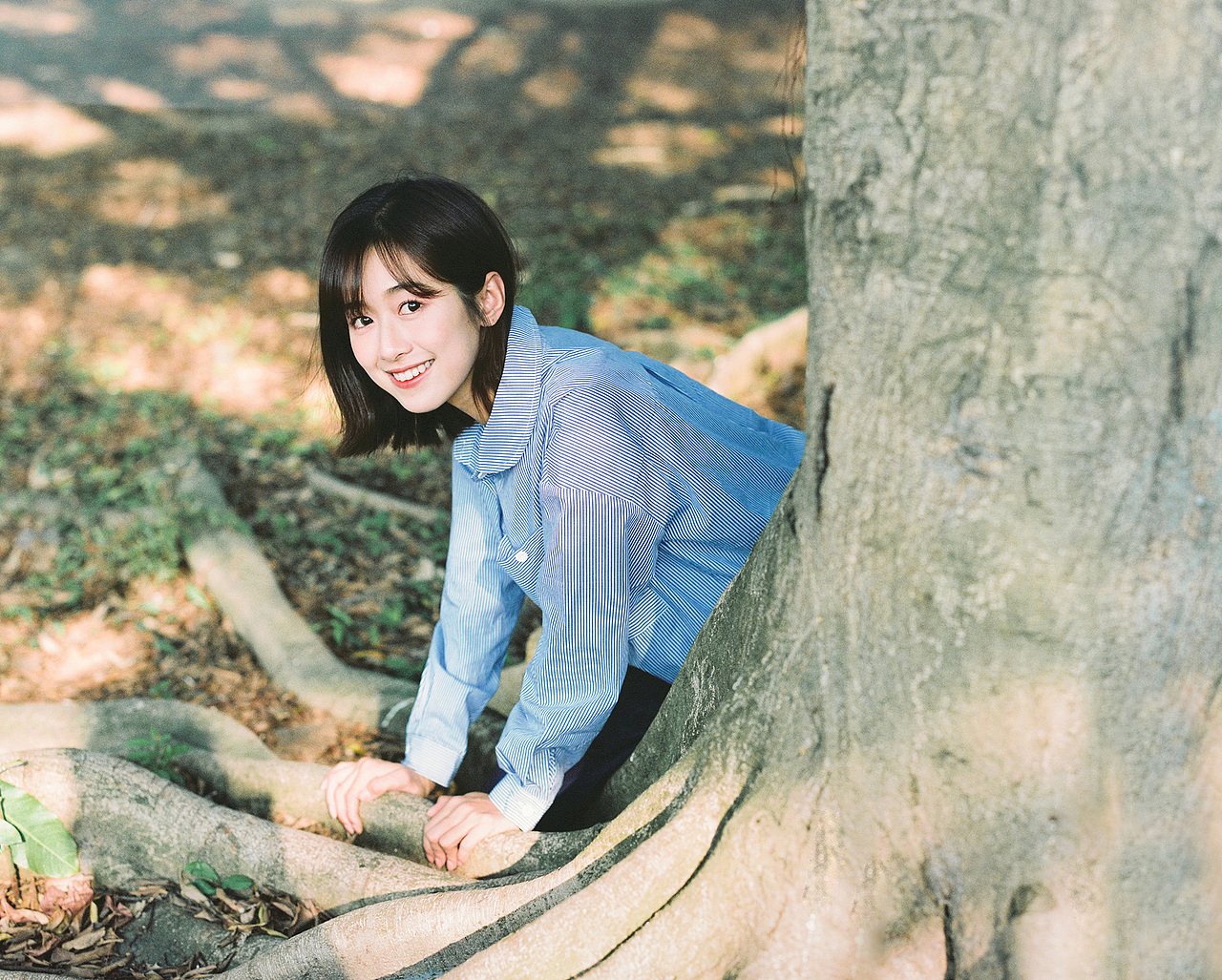 你是空气好闻胜过了空气；你是阳光却能照进午夜。