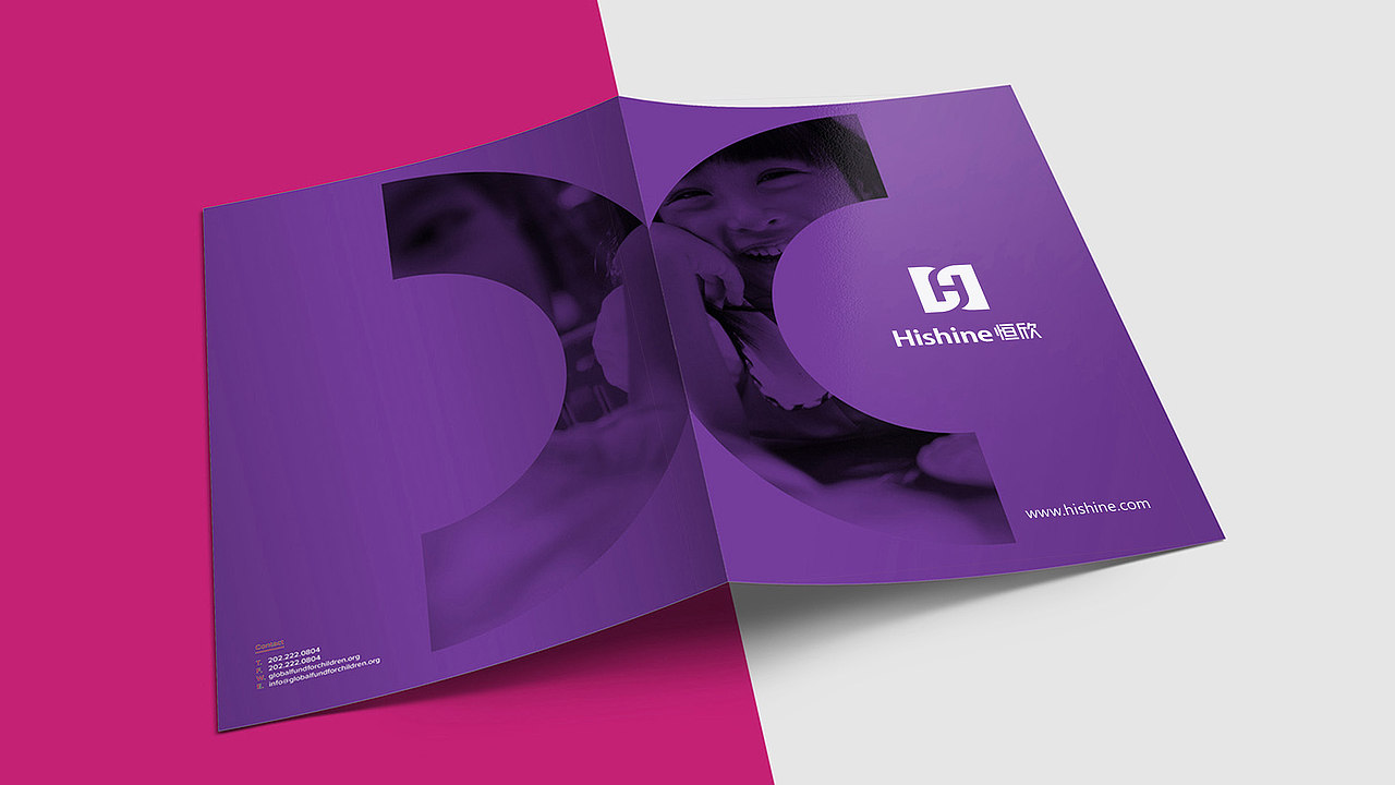 恒欣保险丨品牌设计（图ZMjAxOTk0ODYw） - 品牌 - 站酷设计师叶先荣原创素材 - 站酷ZCOOL