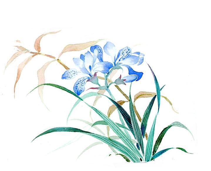 古风素材（图ZMTQ3ODAwMDA0） - 商业插画 - 站酷设计师鸿飛插画原创素材 - 站酷ZCOOL