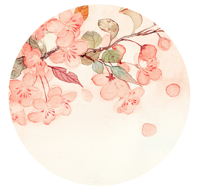 最近画的各种花（附过程）（图ZMzY4NjgxNjg=） - 商业插画 - 站酷设计师瑶背背原创素材 - 站酷ZCOOL