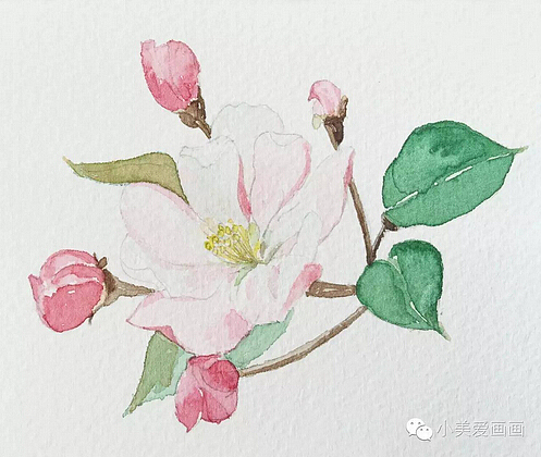 作为一枚孕妈，工作之余还能做什么？（图ZNDk1OTY0ODA=） - 创作习作 - 站酷设计师白小美原创素材 - 站酷ZCOOL