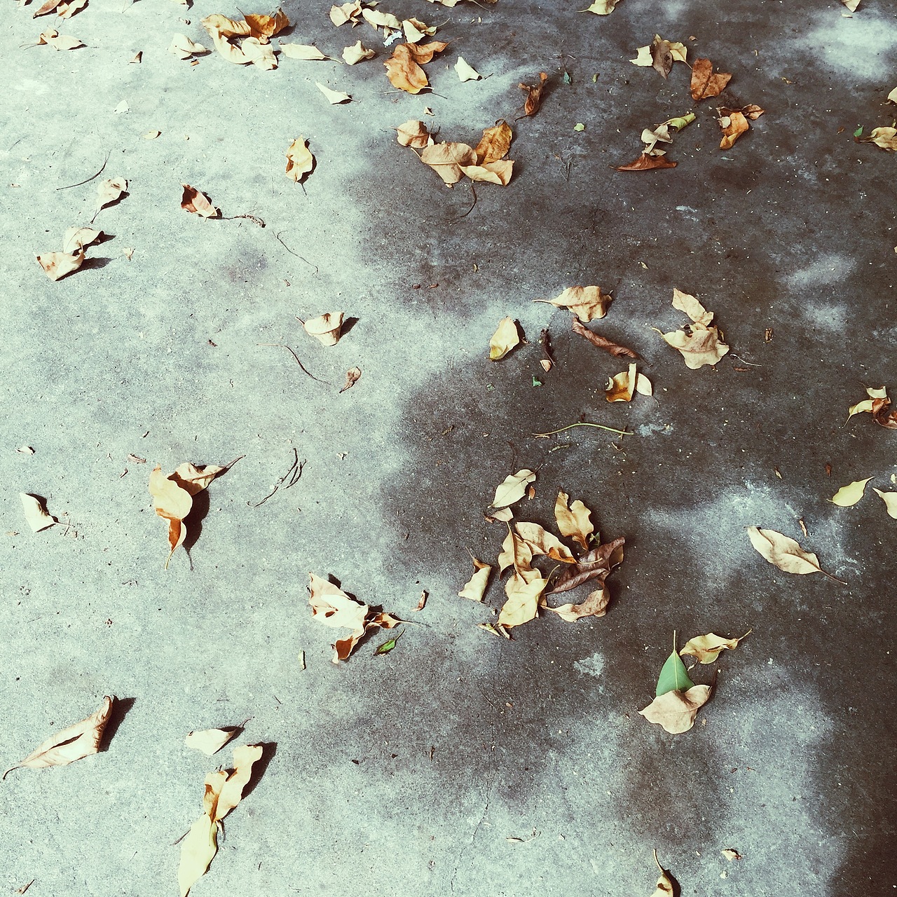 手机日常作品（图ZOTU0NDQzMDQ=） - 人文/纪实摄影 - 站酷设计师李佩华原创素材 - 站酷ZCOOL