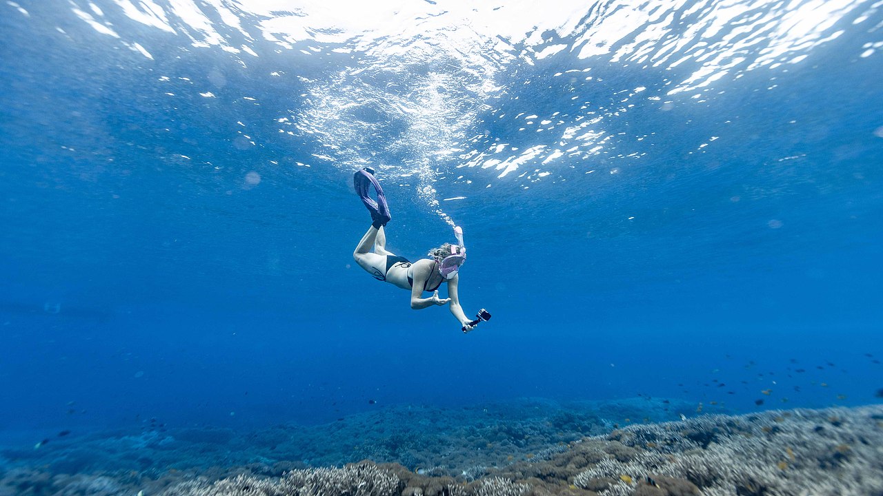 巴厘岛潜水面罩水下视频