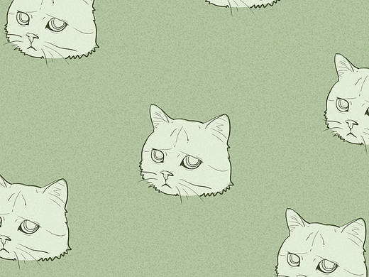 猫咪手机壁纸