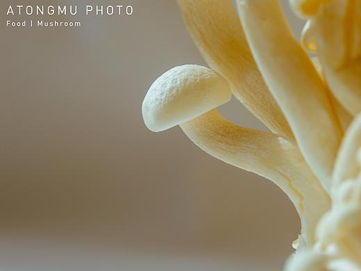 优美的白玉菇