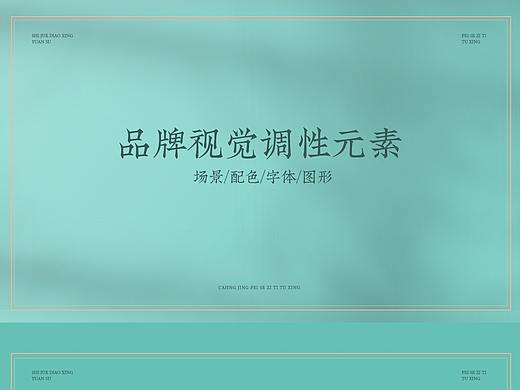瓷天使品牌视觉