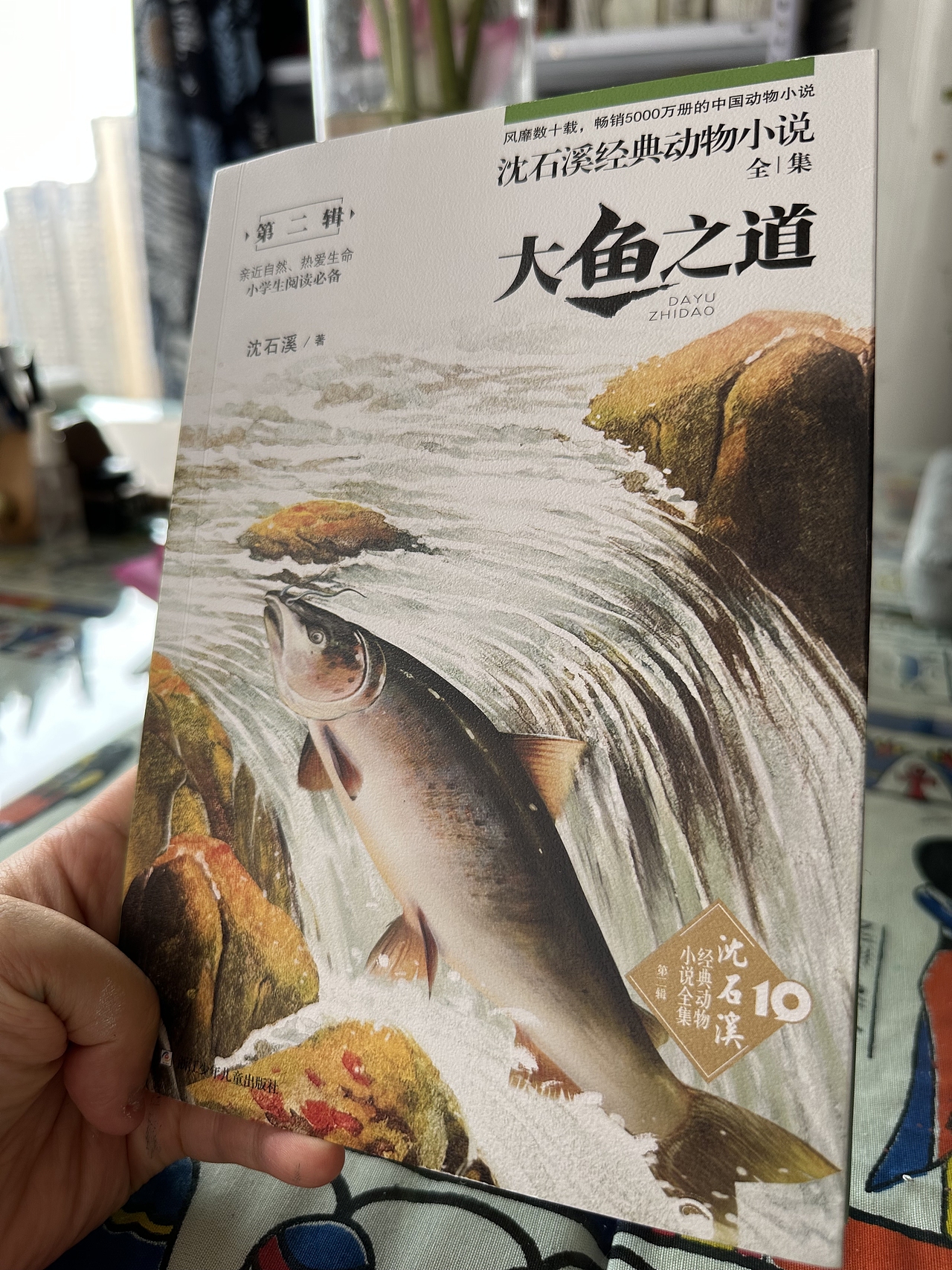 沈石溪动物小说封面配图（图ZMzQ2NTExMDQw） - 儿童插画 - 站酷设计师樊安安原创素材 - 站酷ZCOOL
