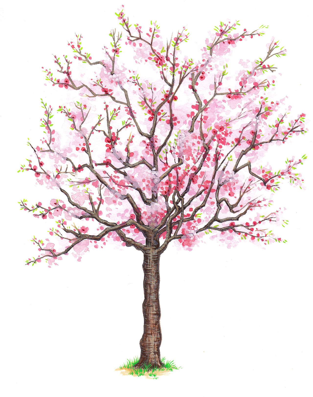 秋季美工 | 绝对新颖的绘画和手工，见证一棵落叶树的奇迹！-幼师宝典官网