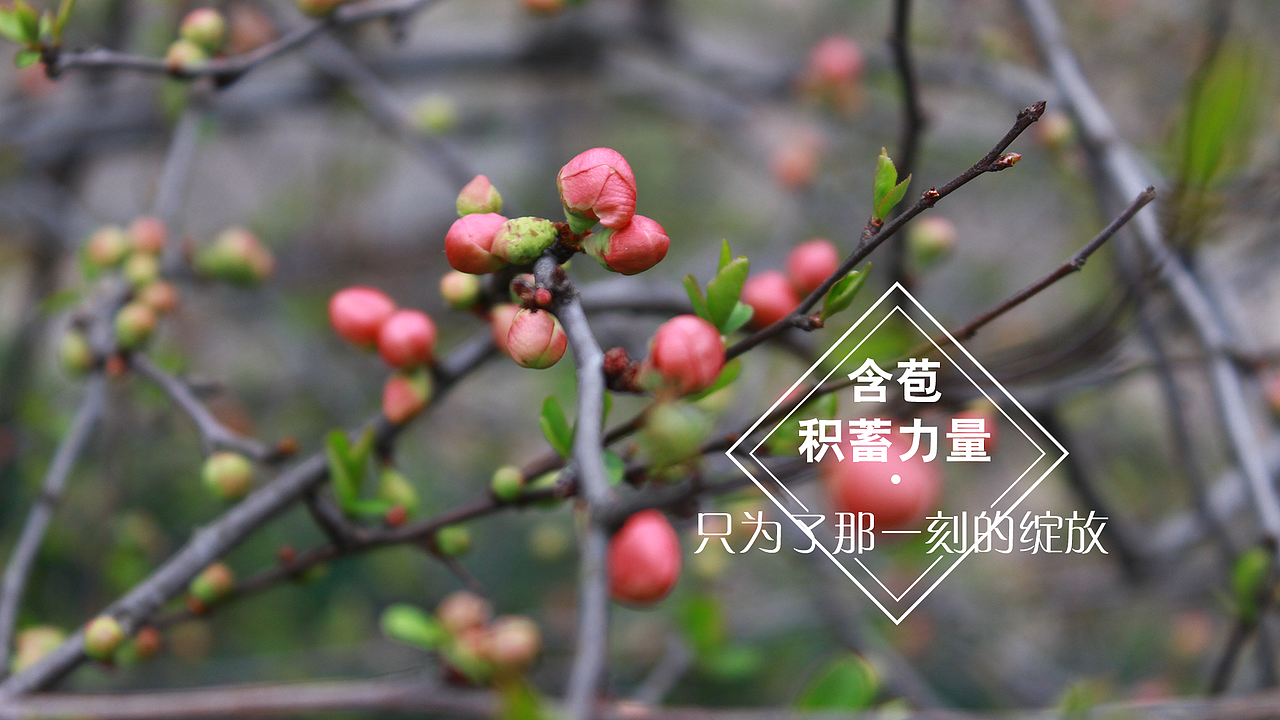 自制桌面秀（图ZMjg0MjA0MjQ=） - 风光摄影 - 站酷设计师小峰峰1900原创素材 - 站酷ZCOOL