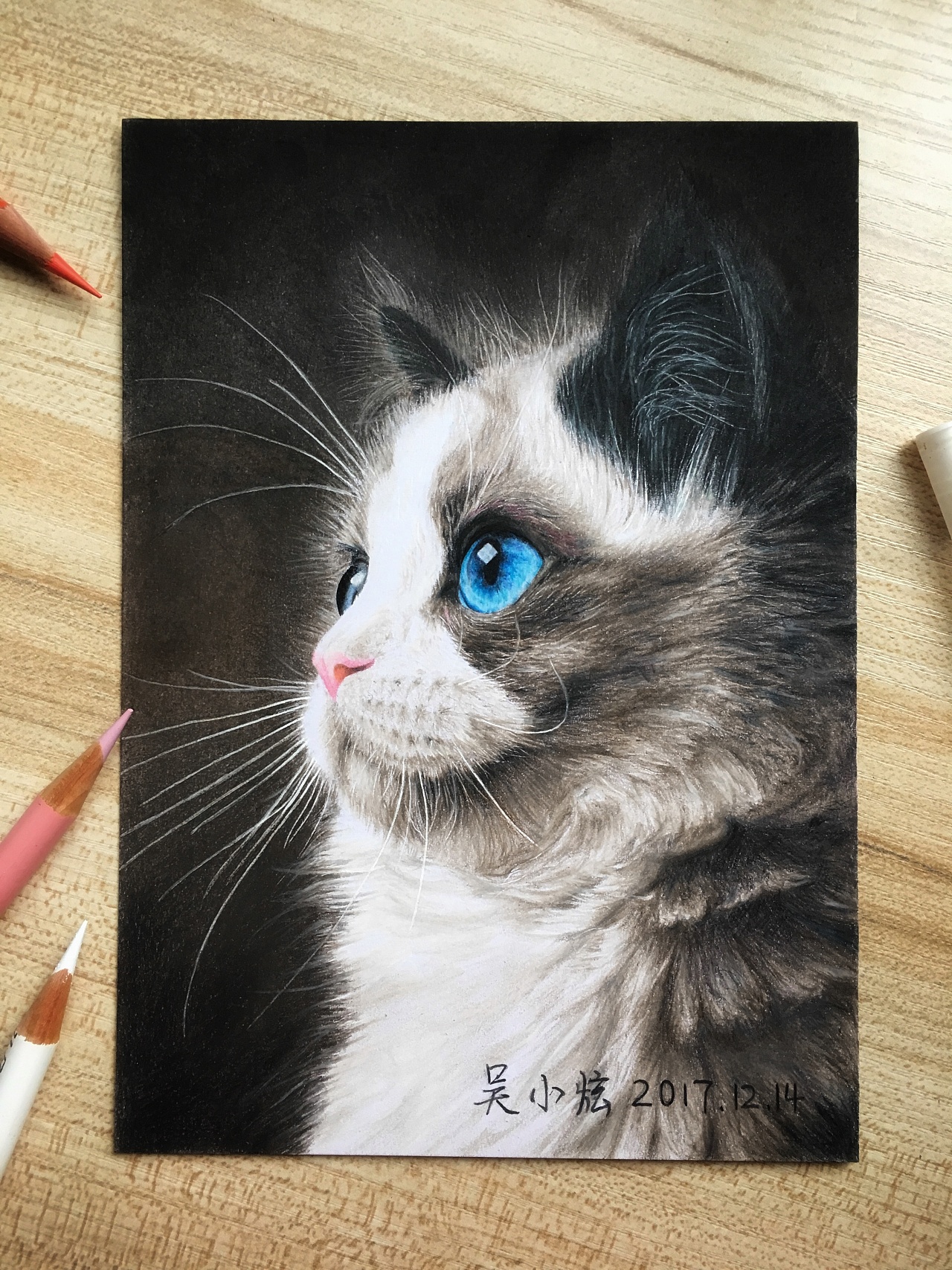 高冷的布偶猫|纯艺术|绘画|吴小炫 - 原创作品 - 站酷 (zcool)