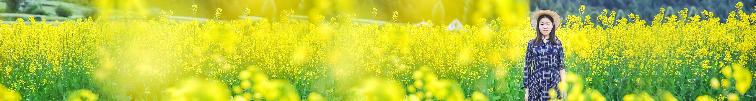 哈利路亞LH的個人主頁（封面預(yù)覽） - 主頁封面設(shè)置 - 站酷設(shè)計師哈利路亞LH原創(chuàng)素材 - 站酷ZCOOL