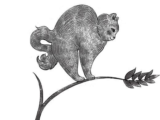 【插画小练习】-猫咪系列