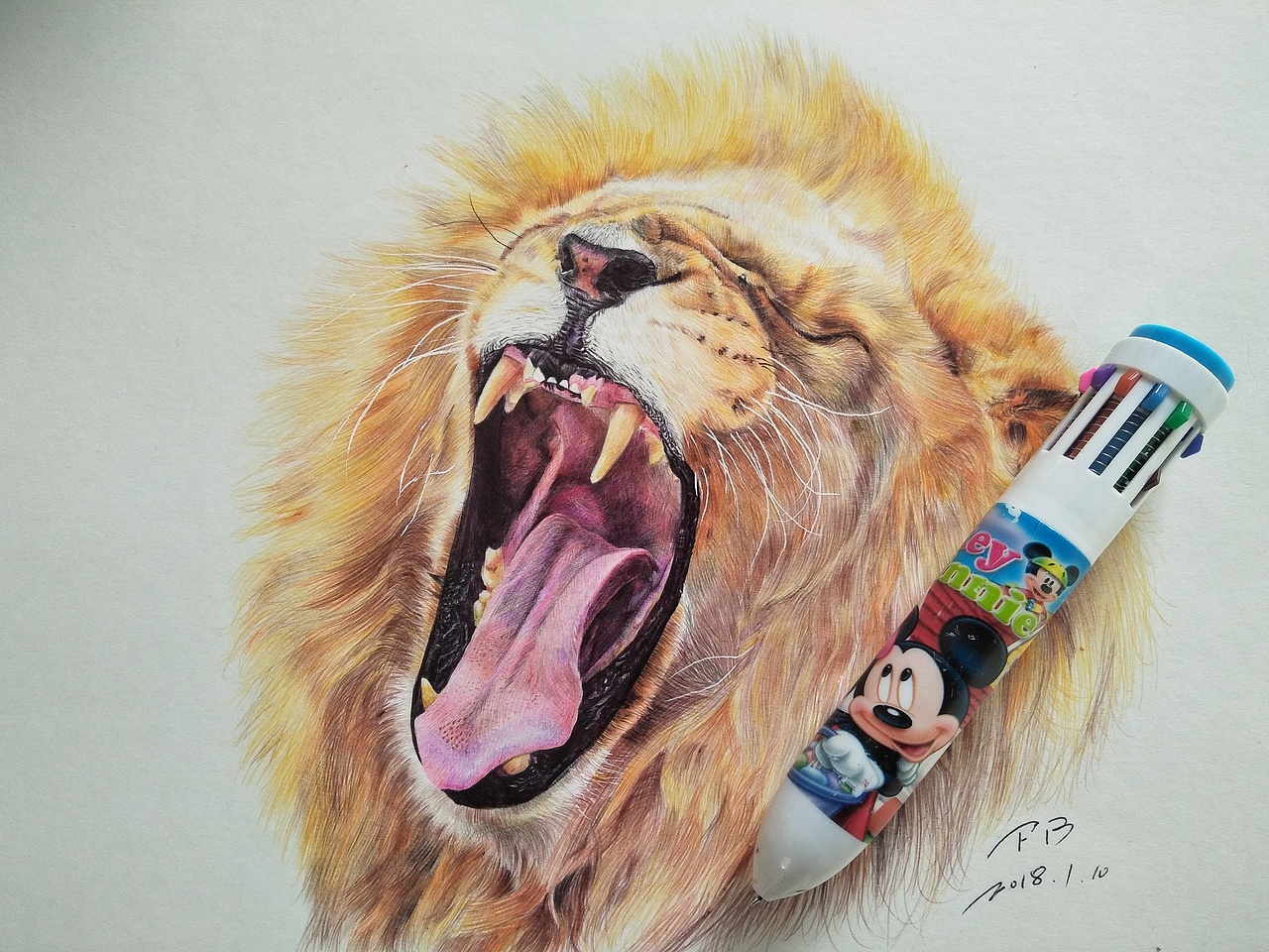 彩色圆珠笔画-动物篇