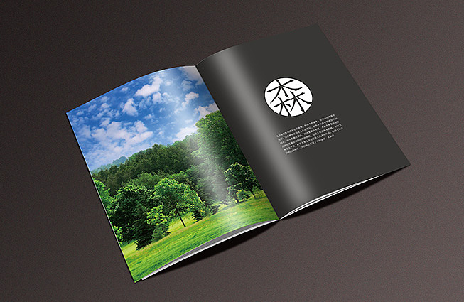 给客户初步提案的一本画册