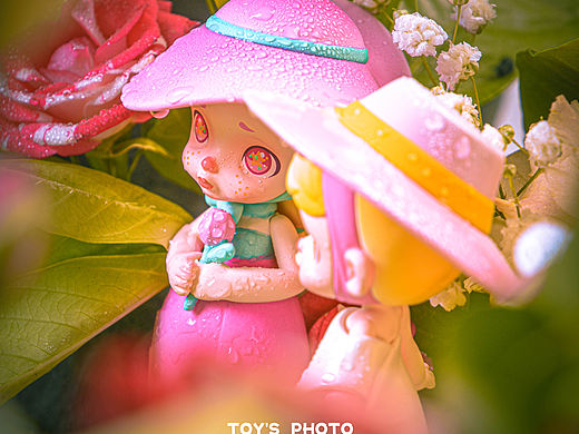 盲盒摄影 | 劳拉Laura花卉系列