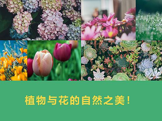 PPT设计 植物与花（个人主页-ZMzc1NDUyODg=） - PPT/Keynote - 站酷设计师遇暖如春原创素材 - 站酷ZCOOL