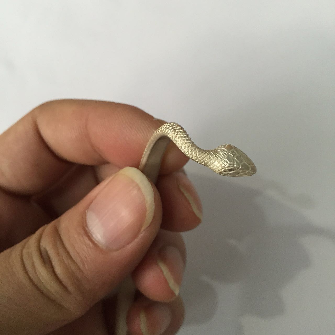 祝福系列之——印度“生命之力”蛇