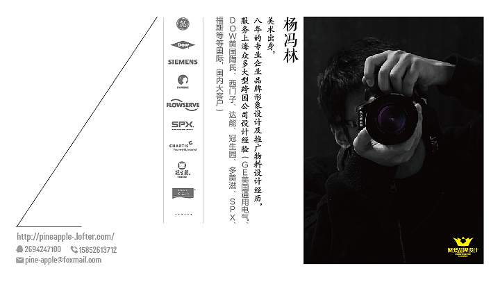 凤梨品牌设计-标志集