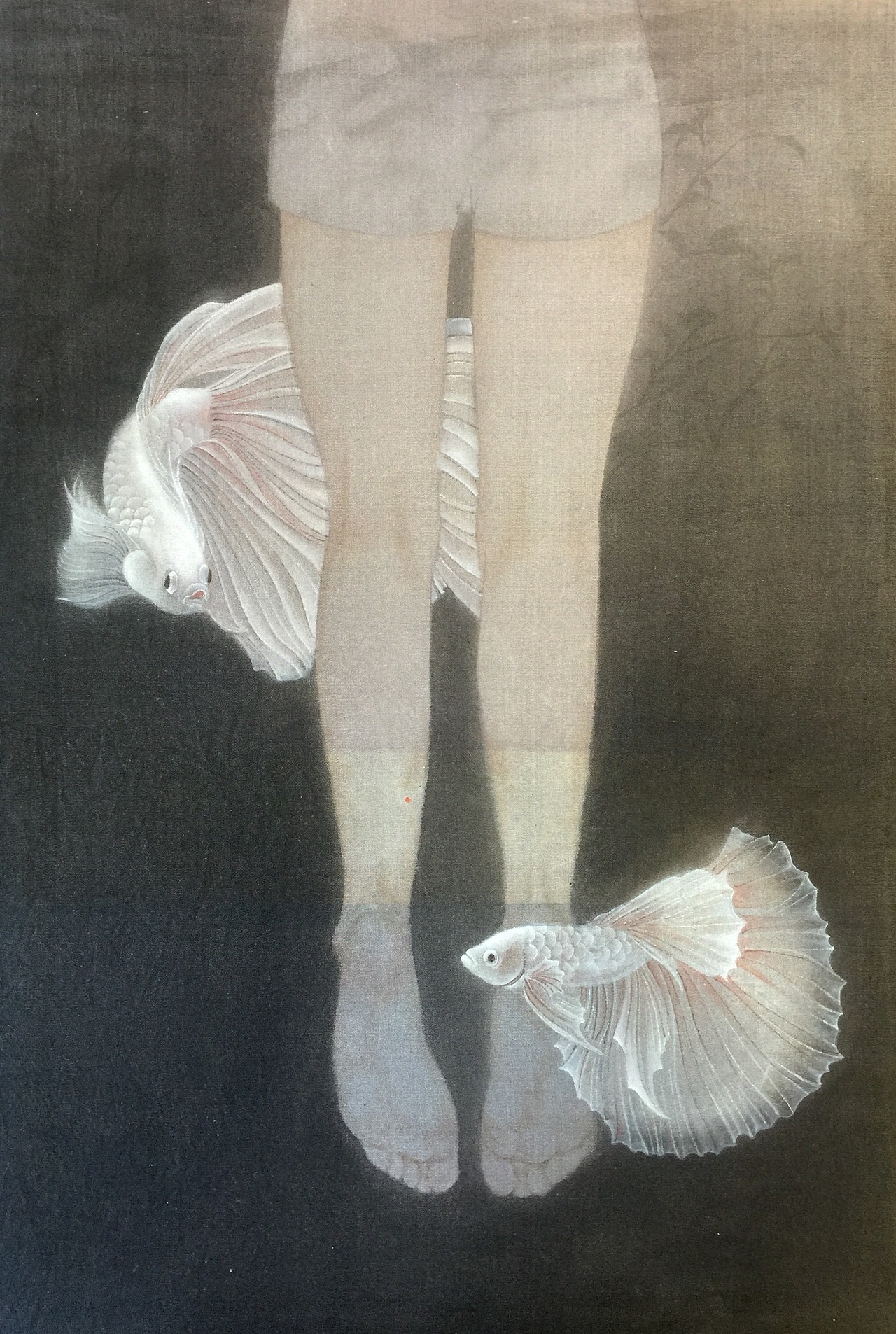 黑鱼鱼和蓝鱼鱼