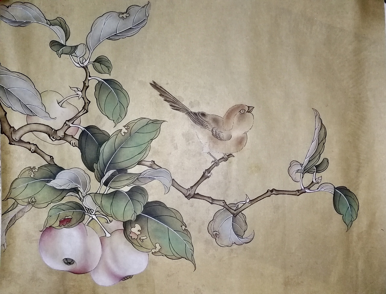 《果熟来禽图》纸本|纯艺术|绘画|小敬啊 - 临摹作品 - 站酷 (zcool)