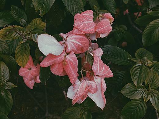 獨(dú)處（個(gè)人主頁(yè)-ZNTUyNTEyODQ=） - 風(fēng)光攝影 - 站酷設(shè)計(jì)師夾克555原創(chuàng)素材 - 站酷ZCOOL