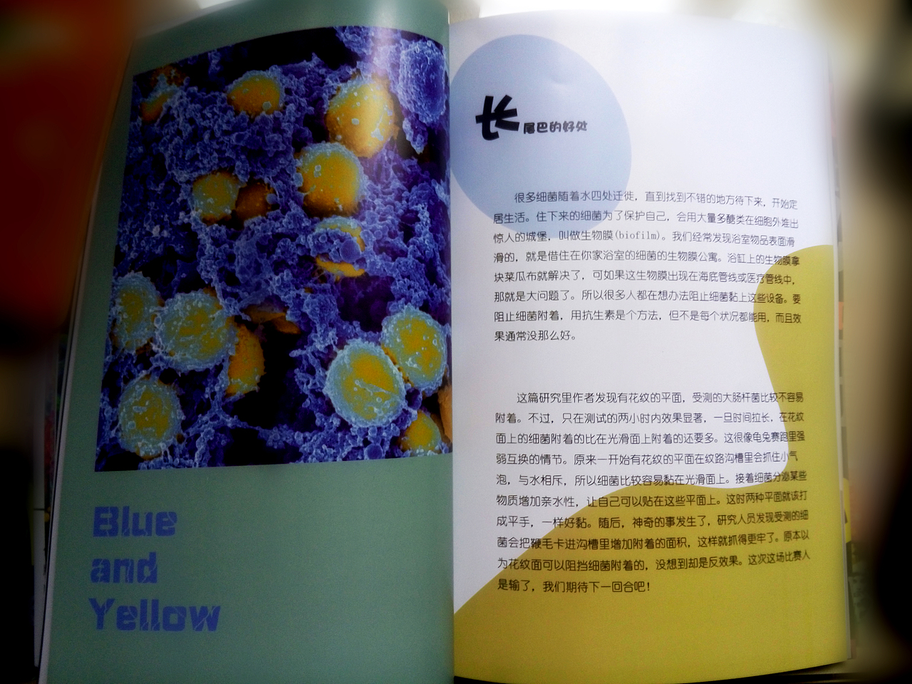 Fungi—美丽的菌类（图ZNDEzOTcwNDQ=） - 书籍/画册 - 站酷设计师傲娇实属无奈原创素材 - 站酷ZCOOL