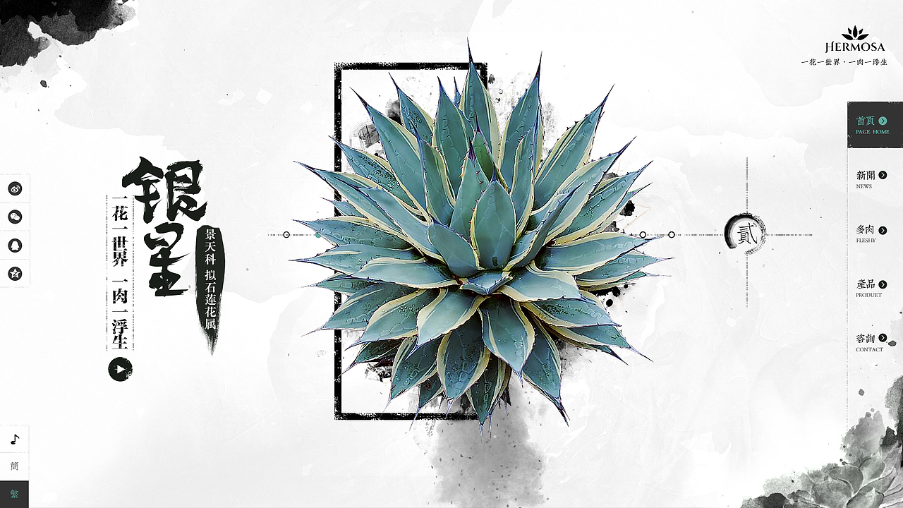 多肉web（圖ZNjYzOTE3MTY=） - 企業(yè)官網(wǎng) - 站酷設(shè)計(jì)師喵嗚lo原創(chuàng)素材 - 站酷ZCOOL