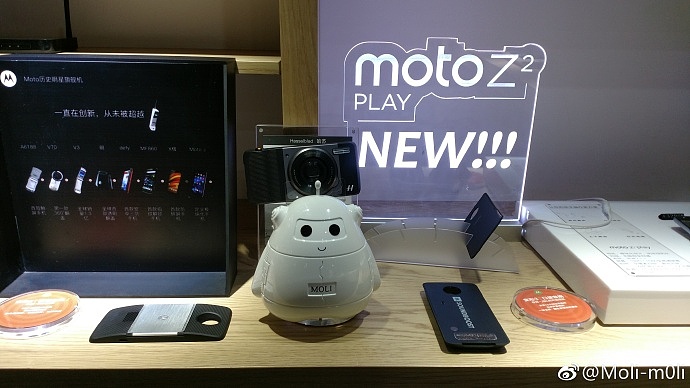 Moli 卡通形象设计（图ZMTQ1OTQyNDk2） - IP形象 - 站酷设计师耳朵爹原创素材 - 站酷ZCOOL
