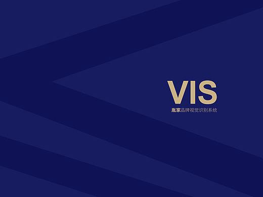 胤家基础VIS