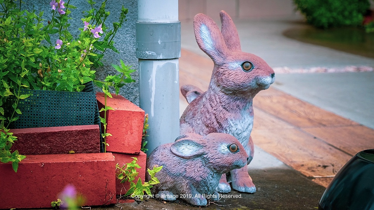 镰仓 | 另一个世界